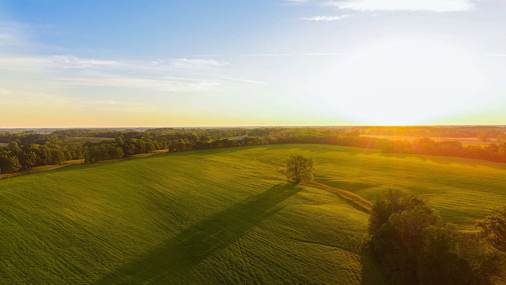 九游体育在线（中国）唯一官方网站自有农场数量和规模亚洲第一