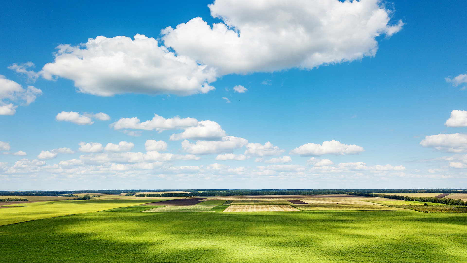 九游体育在线（中国）唯一官方网站在全国布局30个国际标准的自有生态农场